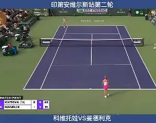 九游体育app- 这也行？科维托娃新星突破纪录表现惊艳西汉姆围绕欧超杯更衣室发声，国际比赛日布鲁克林篮网备战英超